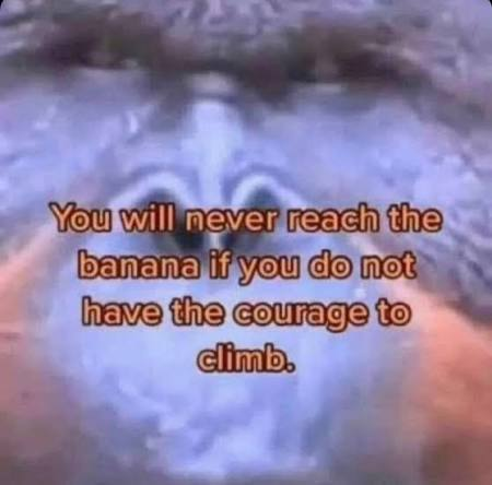 You will never reach the banana if you do not have the courage to climb.